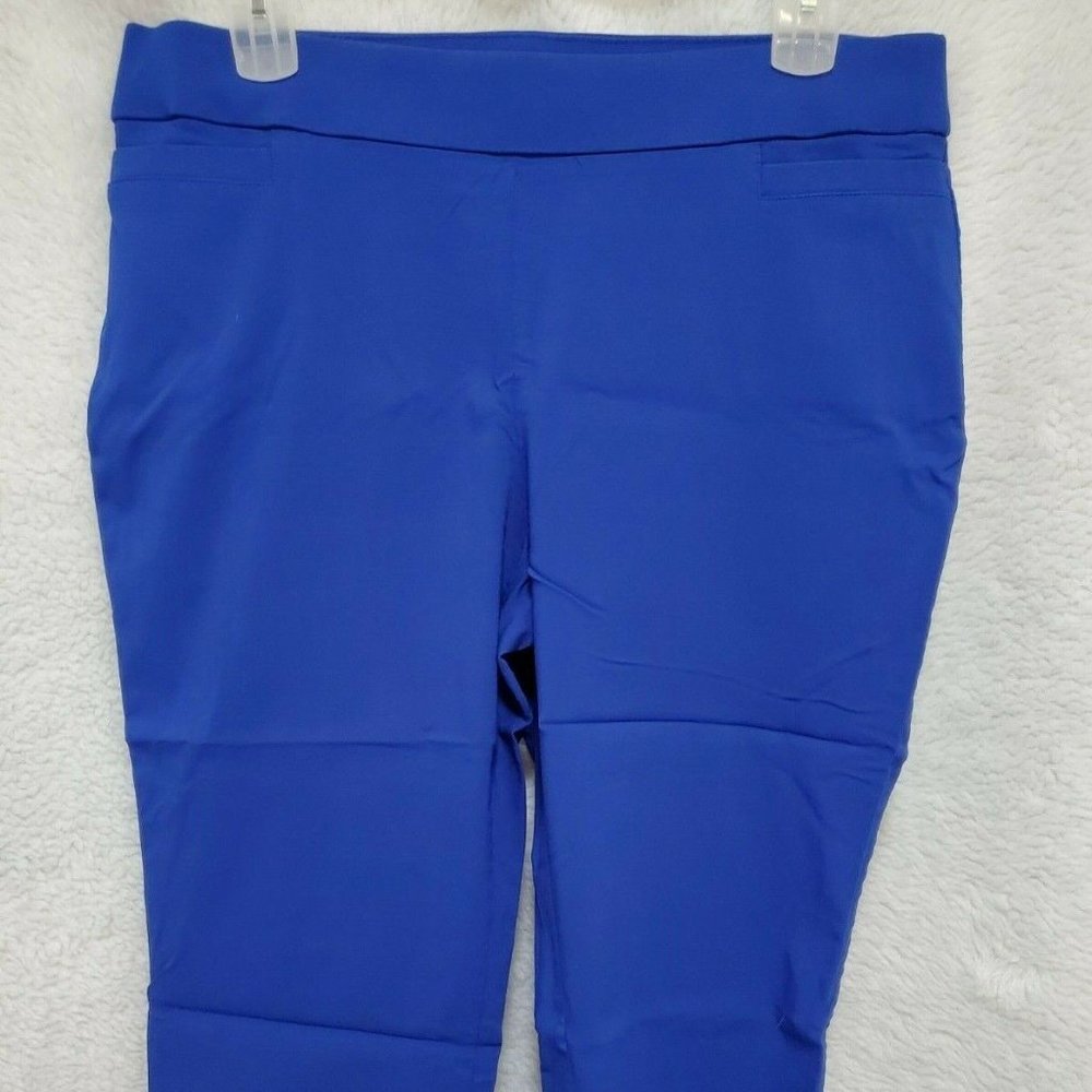 Briggs Blue Capri Pants Size 16W